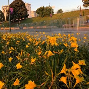 Meet your Posher, Jackie